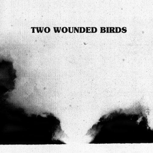 Two Wounded Birds - Two Wounded Birds (2012)