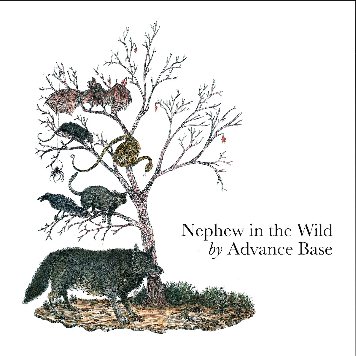 Advance Base - Nephew In The Wild (2015)