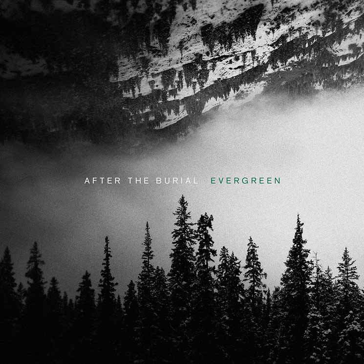 After The Burial - Evergreen (2019)