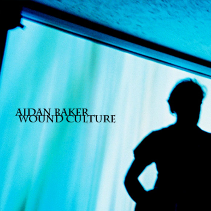Aidan Baker - Wound Culture (2002)