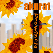 Akurat - Prowincja (2003)