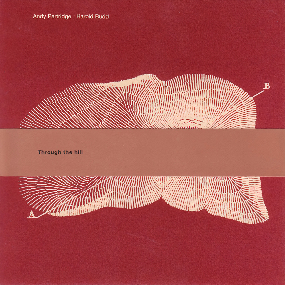 Andy Partridge & Harold Budd - Through The Hill (1994)
