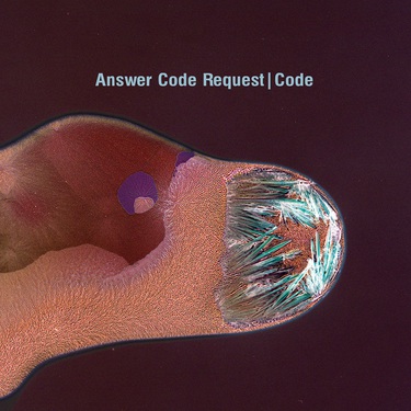 Answer Code Request - Code (2014)