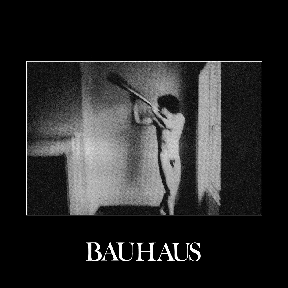Bauhaus - In The Flat Field (1980)