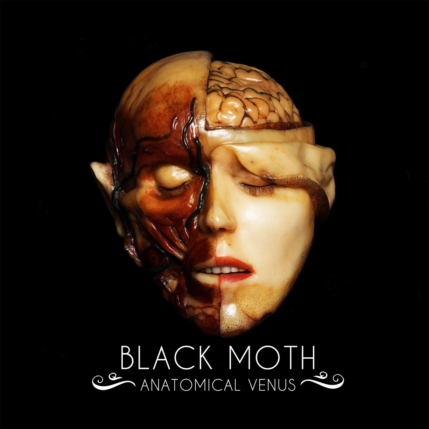 Black Moth - Anatomical Venus (2018)