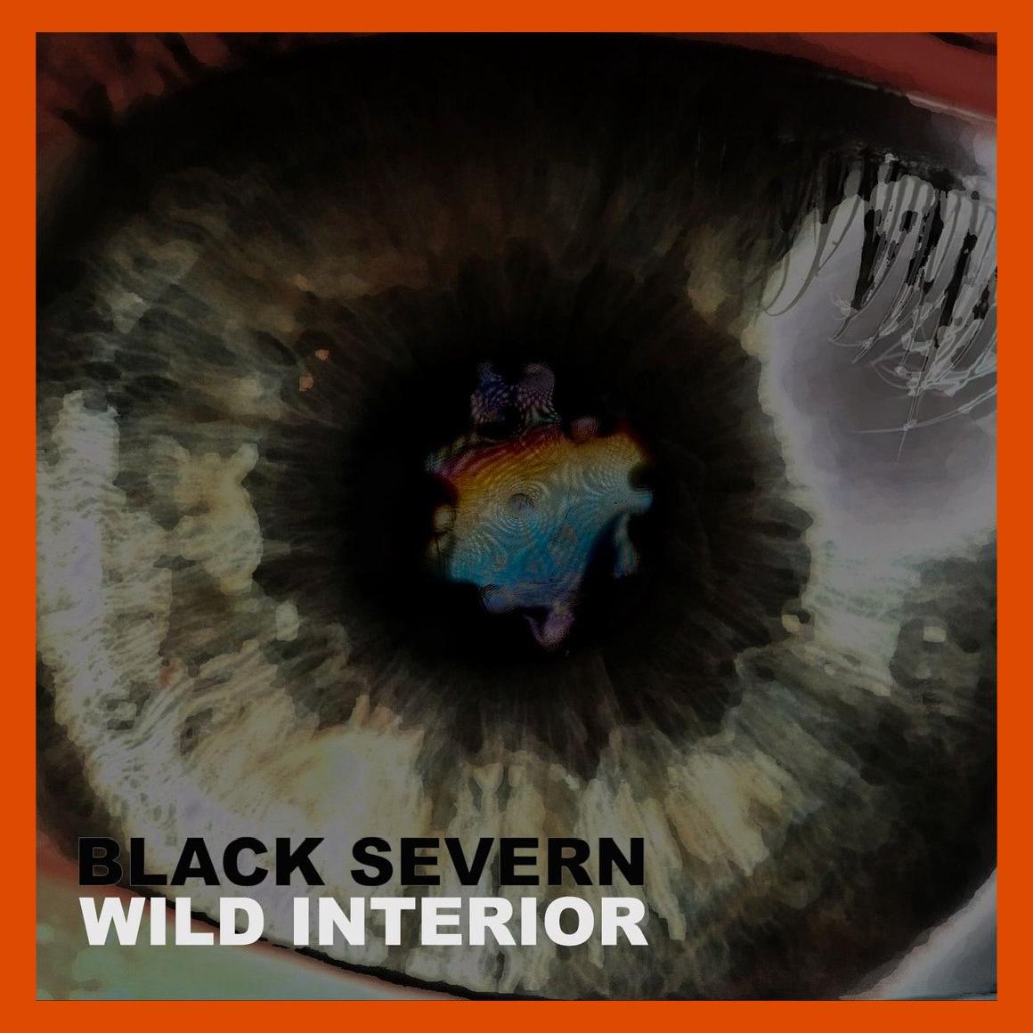 Black Severn - Wild Interior (2017)