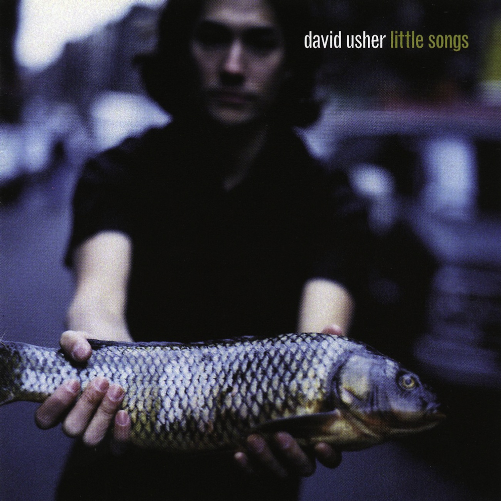 David Usher - Little Songs (1998)