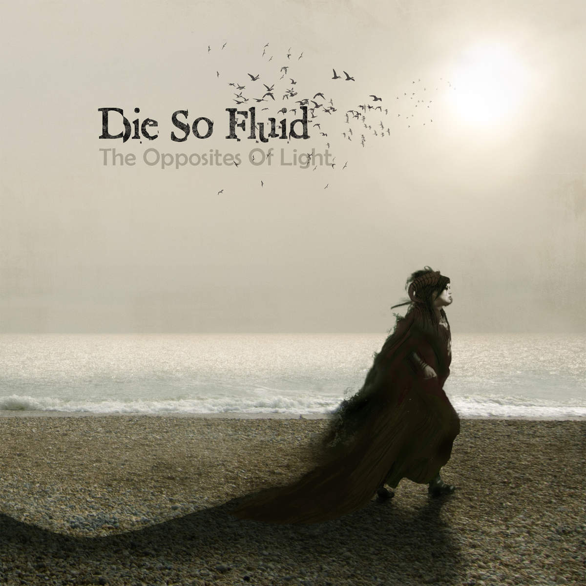 Die So Fluid - The Opposites of Light (2014)