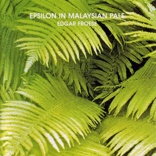 Edgar Froese - Epsilon In Malaysian Pale (1975)