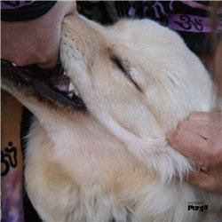 Fennesz & Jim O'Rourke - It's Hard For Me To Say I'm Sorry (2016)