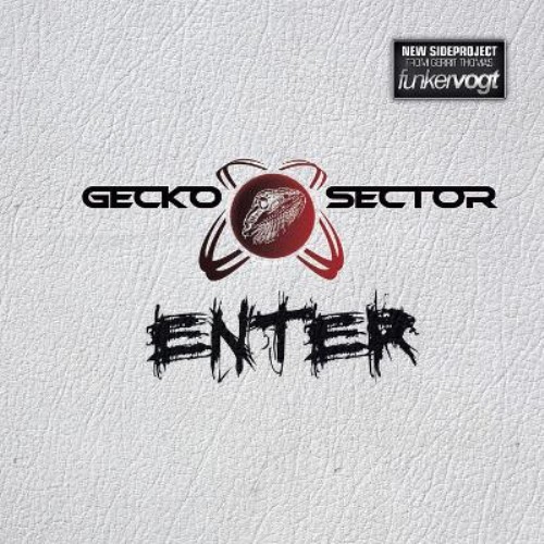 Gecko Sector - Enter (2012)