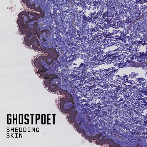 Ghostpoet - Shedding Skin (2015)