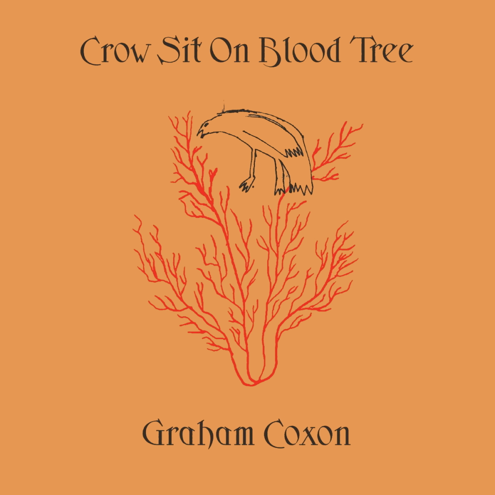 Graham Coxon - Crow Sit On Blood Tree (2001)