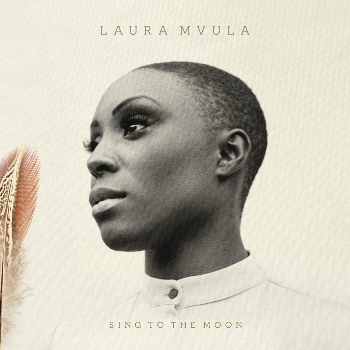 Laura Mvula - Sing To The Moon (2013)