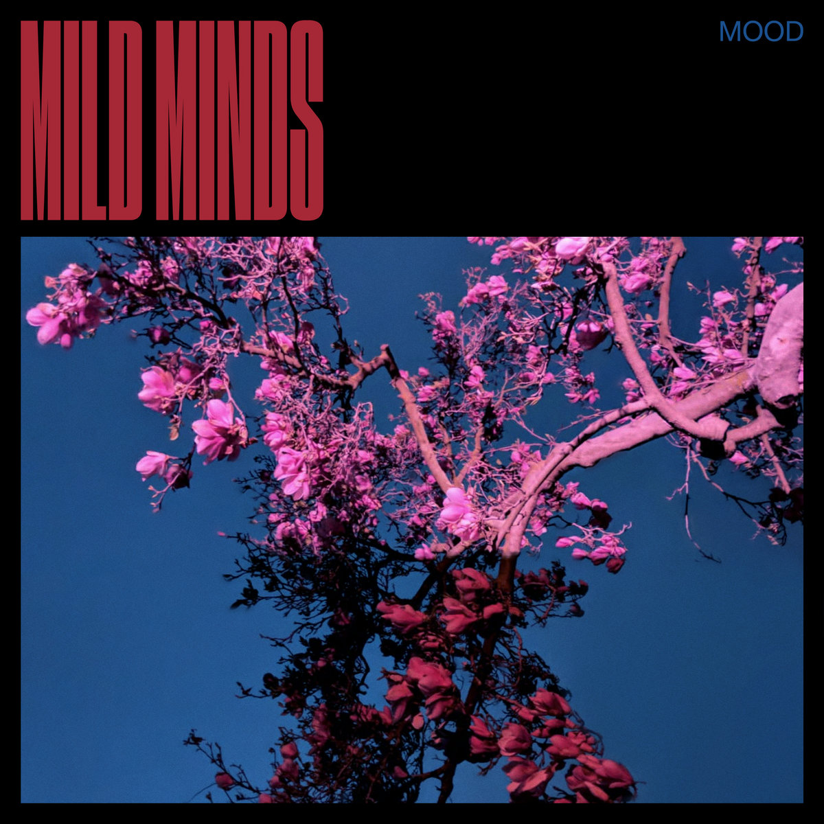 Mild Minds - Mood (2020)