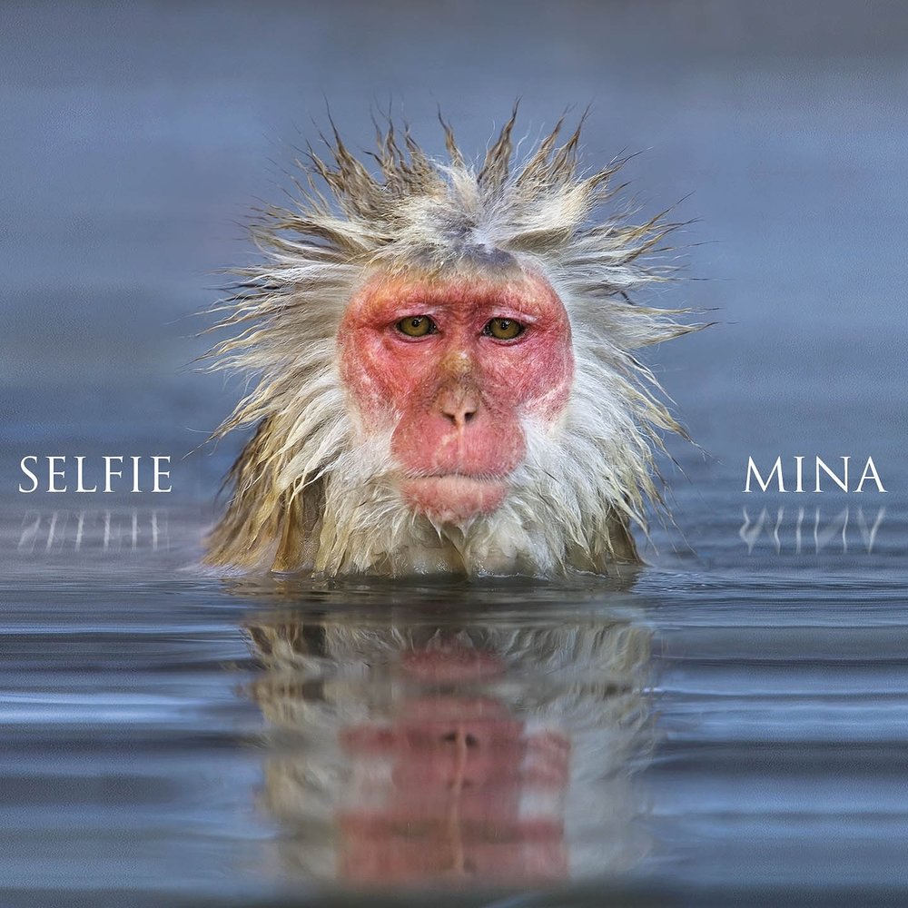 Mina - Selfie (2014)