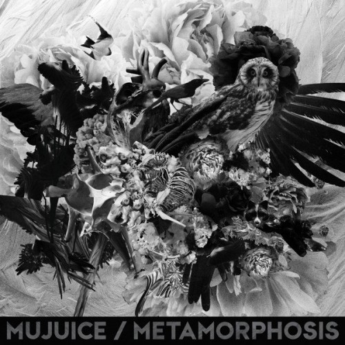 Mujuice - Metamorphosis (2014)