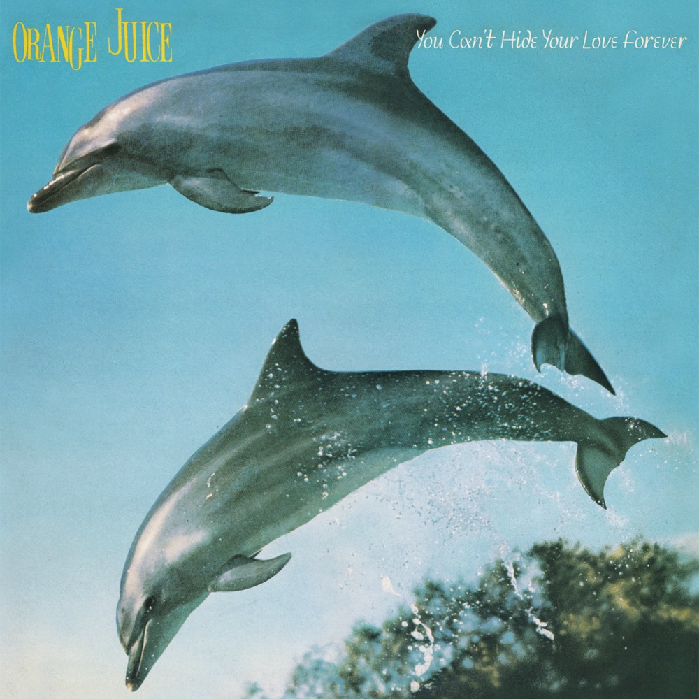 Orange Juice - You Can't Hide Your Love Forever (1982)