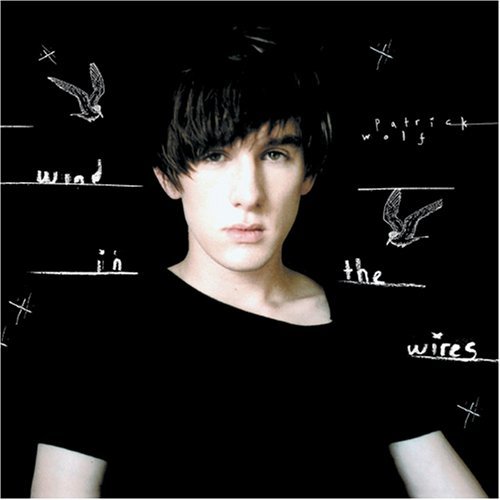 Patrick Wolf - Wind in the Wires (2005)
