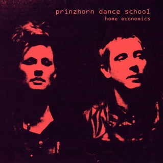 Prinzhorn Dance School - Home Economics (2015)