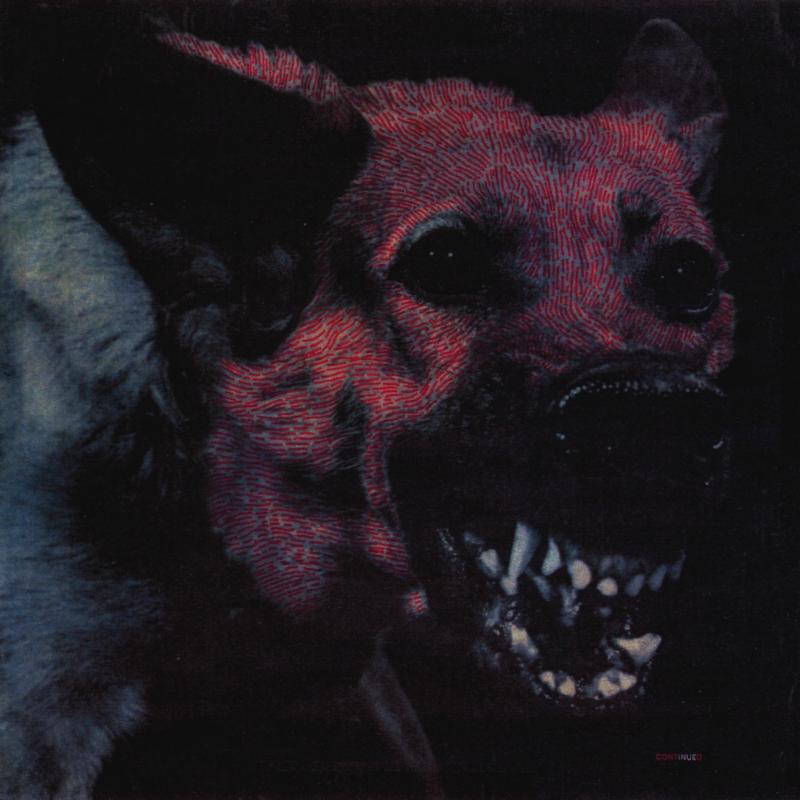 Protomartyr - Under Color of Official Right (2014)
