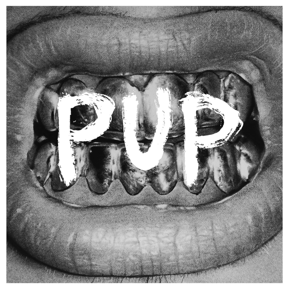 PUP - Pup (2014)