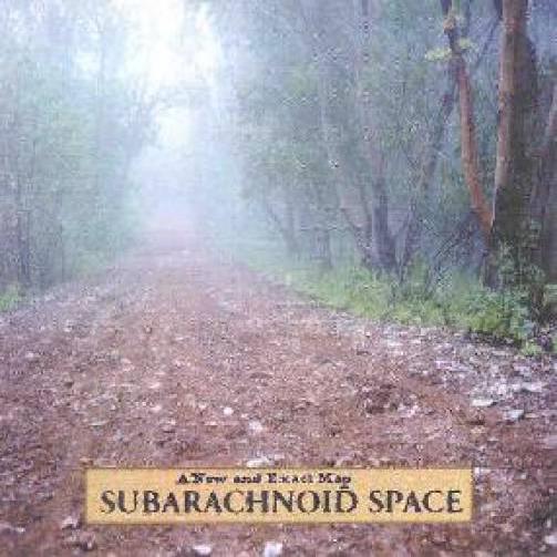Subarachnoid Space - A New And Exact Map (2000)
