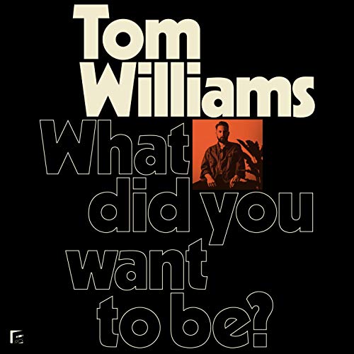 Tom Williams - What Did You Want To Be? (2019)