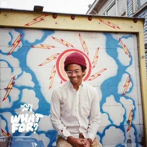 Toro y Moi - What For? (2015)