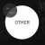 Other (2013)