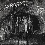 Aerosmith - Night In The Ruts (1979)