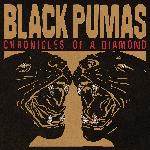 Black Pumas - Chronicles of a Diamond (2023)