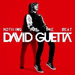 Nothing But The Beat (2011)