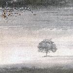 Wind & Wuthering (1976)