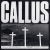 Callus (2016)
