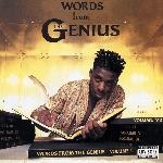 GZA/Genius - Words From The Genius (1991)