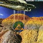 Hawkwind - Levitation (1980)