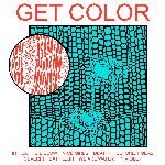 Get Color (2009)