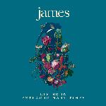 James - Living In Extraordinary Times (2018)
