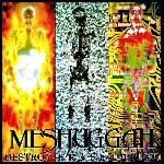Meshuggah - Destroy Erase Improve (1995)