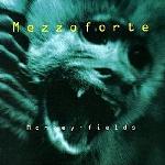 Mezzoforte - Monkey-Fields (1996)