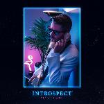 Introspect (2019)