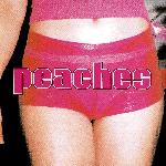 Peaches - The Teaches Of Peaches (2000)