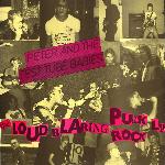 The Loud Blaring Punk Rock LP (1985)