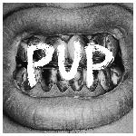 PUP - Pup (2014)