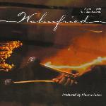 Richard Wahnfried - Drums 'n' Balls (The Gancha Dub) (1997)