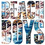 The Beach Boys (1985)