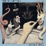 The Chameleons - Strange Times (1986)
