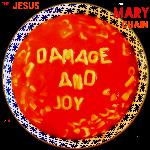 Damage And Joy (2017)