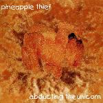 The Pineapple Thief - Abducting The Unicorn (1999)